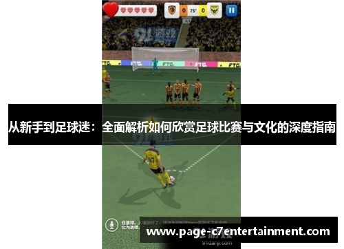 从新手到足球迷:全面解析如何欣赏足球比赛与文化的深度指南 从新手到足球迷:全面解析如何欣赏足球比赛与文化的深度指南