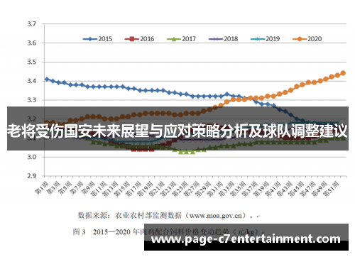 老将受伤国安未来展望与应对策略分析及球队调整建议 老将受伤国安未来展望与应对策略分析及球队调整建议