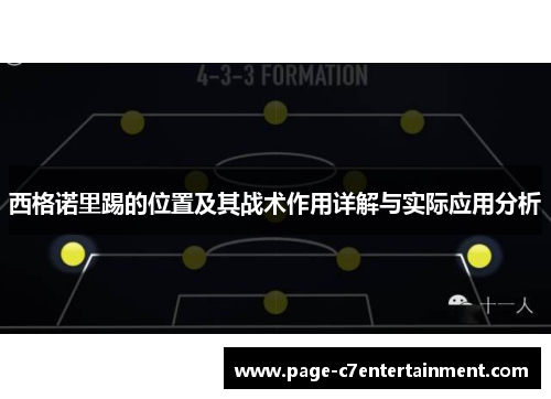 西格诺里踢的位置及其战术作用详解与实际应用分析 西格诺里踢的位置及其战术作用详解与实际应用分析