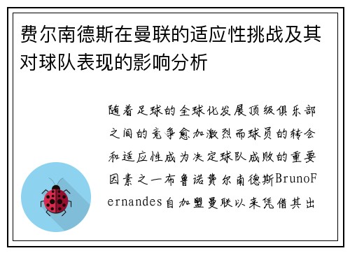 费尔南德斯在曼联的适应性挑战及其对球队表现的影响分析